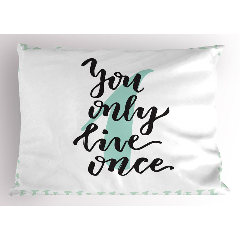 Ensemble de 2 taies décoratives YOLO Ambesonne, H 20 po x l 30 po