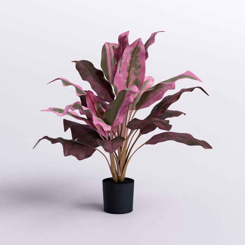 Cordyline en pot Real Touch, Couleur des fleurs / feuilles - Rouge, H 28 po x l 29 po x P 29 po