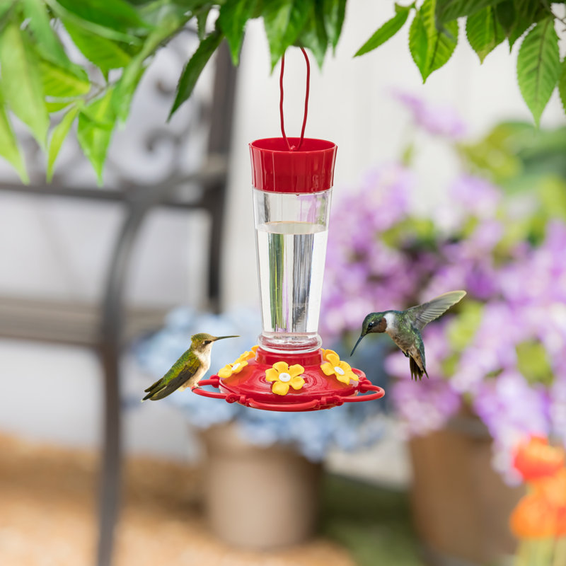 Mangeoire à colibri suspendue Haroon
