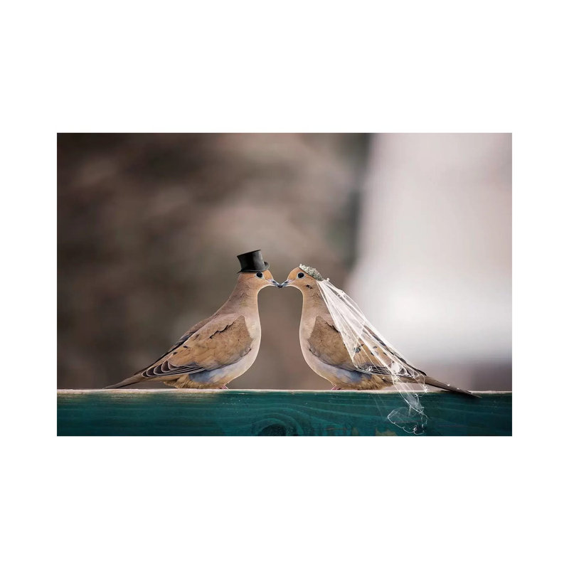 Mourning Dove Wedding by Karen Burke - Wrapped Canvas Print