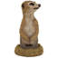 Statue trou dans un suricate africain