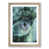 Oak Framed selected