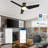Emmly 52'' Ceiling Fan with LED Lights