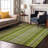 Premium Machine Washable Cerrito AMF543 Green Rug-104020222