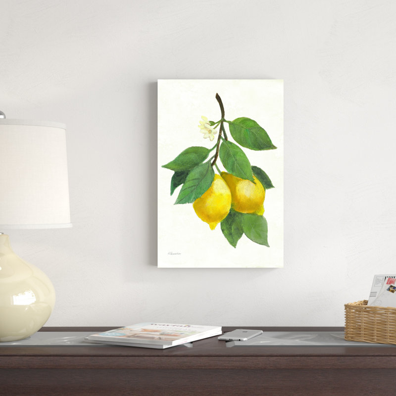 Citron II, H 18 po x l 12 po