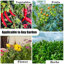 Brandessa Raised Planter Box: Soil Protection & Effortless Growing-1083482031-1083482017