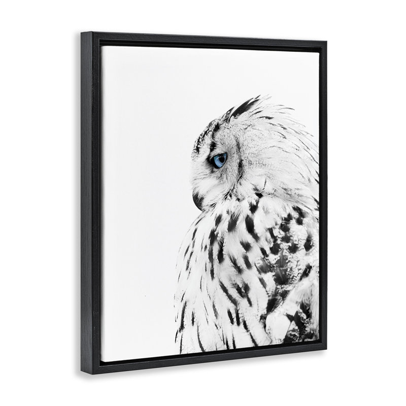 «Snow Owl Feathers Peering Blue Eyes» par Design Fabrikken - impression, H 31 po x l 25 po, Cadre flottant noir de jais