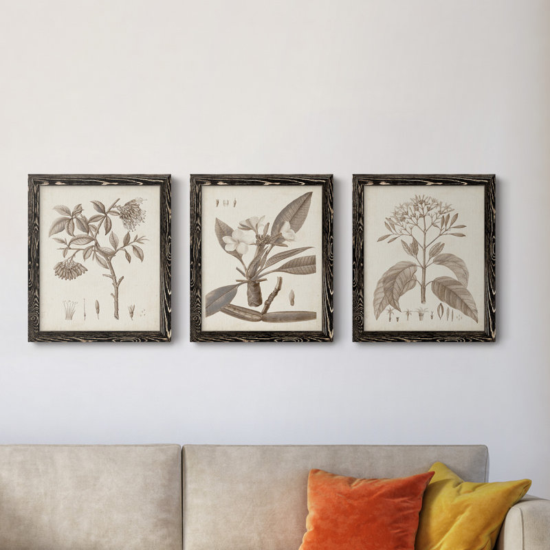 Antique sépia botanicals I - ensemble de 3 reproductions d'art sur toile, Toile avec cadre noir, H 20 po x l 51 po x P 1,5 po