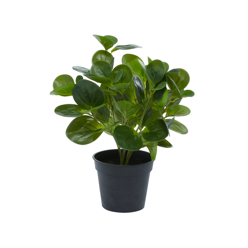 Plante artificielle d'extérieur vert eucalyptus vert avec feuilles réalistes et pot rond noir, 10 po x 7 po x 13 po