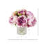 Pivoines disposées dans un vase en verre-23857548