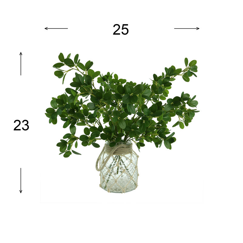 Nature's Elegance Faux Boxwood Plant in Glass Vase