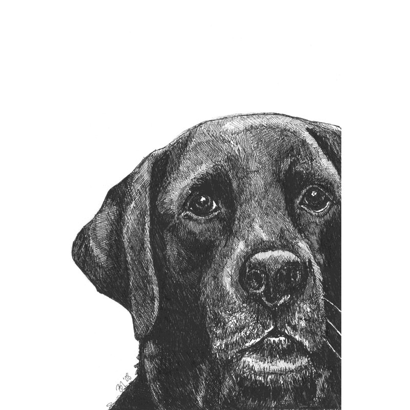 Millie The Black Lab, H 18 po x l 12 po