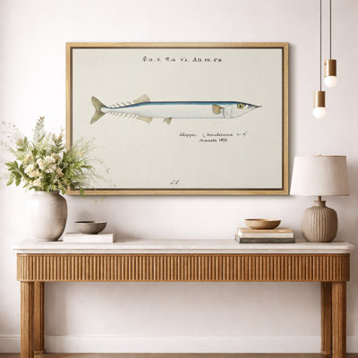 Vintage Skipper Fish Nautical Artwork, Coastal Living Room Pictures, Framed Canvas Giclee Print Wall Art.