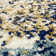 Thorold Abstract Blue/Ivory Area Rug