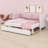 Elegant Upholstered Backrest Daybed Frame with Two Practical Storage Drawers