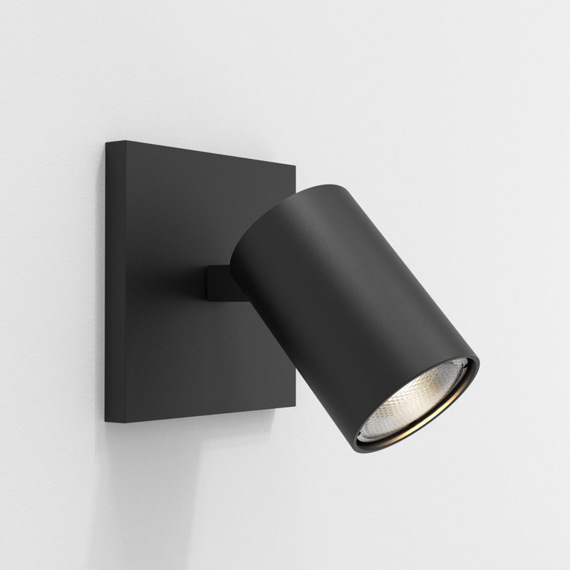 Ascoli 1 - Light Spotlight