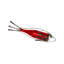 Fish, Spoon, Findings and Glass
