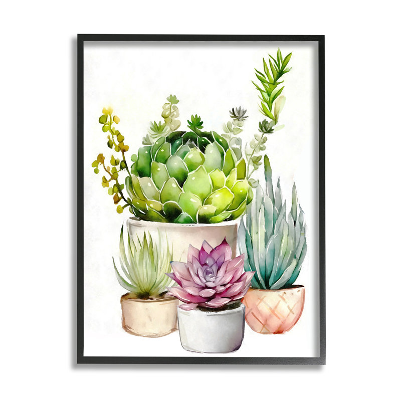 "Varied Succulent Garden Plants" encadré sur bois par Ziwei Li, impression, Giclée encadrée noir minuit