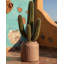 Pot Planter
