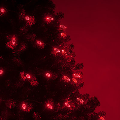 70-Light C6 LED Christmas String Lights