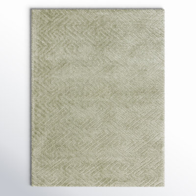 Ninette Shag Performance Geometric Rug