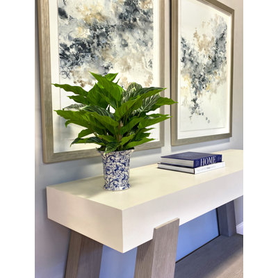 Rohdea Japonica Bush dans un vase en céramique