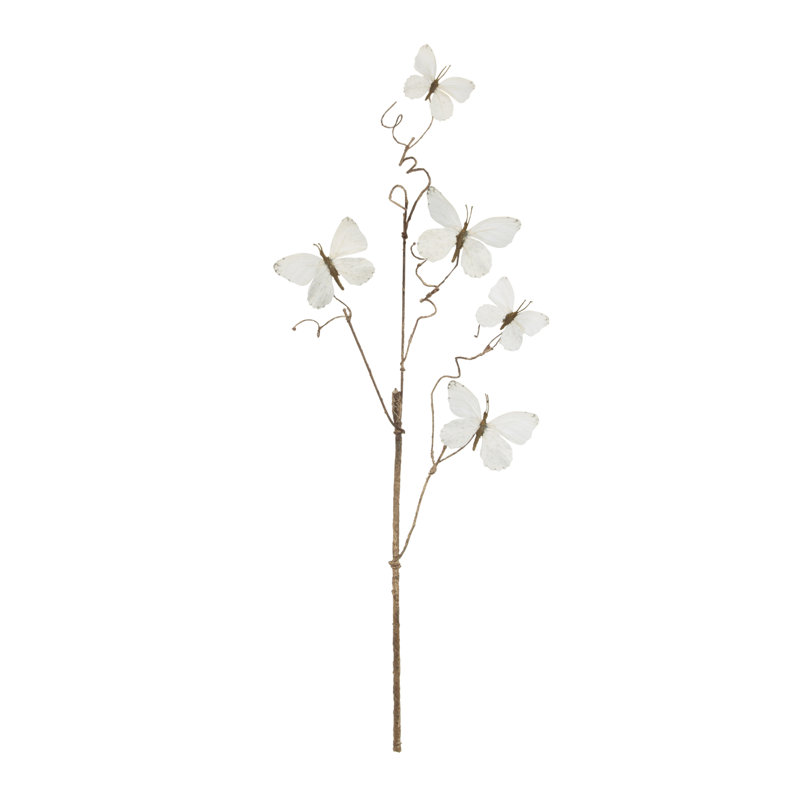 Brindille papillon, Blanc