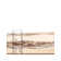 Balthrop Floral Indoor Rug