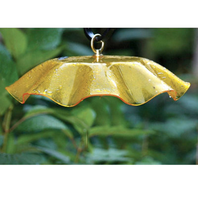 Birds Choice 13" Acrylic Bird Feeder Weatherguard, Yellow