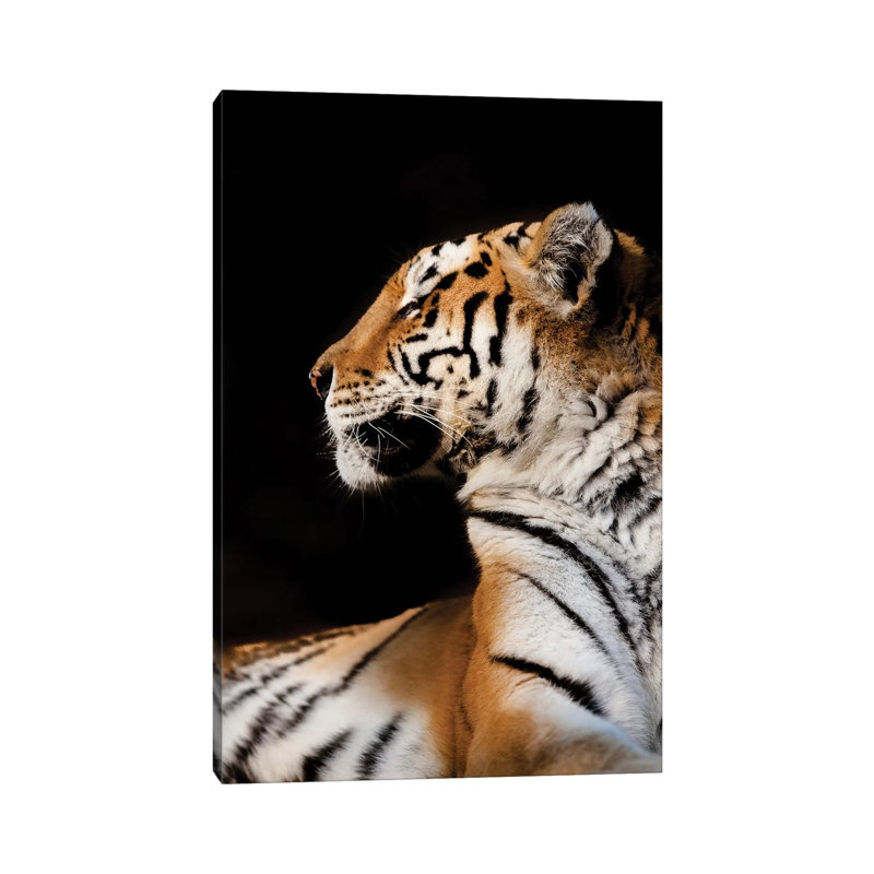 Tiger I by Goran Anastasovski - Wrapped Canvas Print, 101.6 cm H x 66.04 cm W x 1.91 cm D