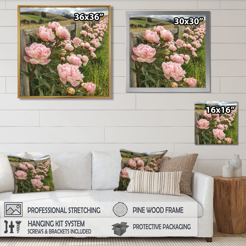 Photo de pivoines dans le enclos à cheval II - pivoines, art mural, Impression encadrée flottante, Brun, H 16 po x l 16 po