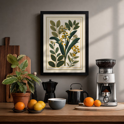 Specimens Study Botanical - Framed Print