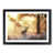 Black Framed selected