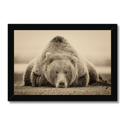 Deep Sleep by PHBurchett - Print