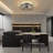 19'' Dimmable Caged Ceiling Fan with LED Lights