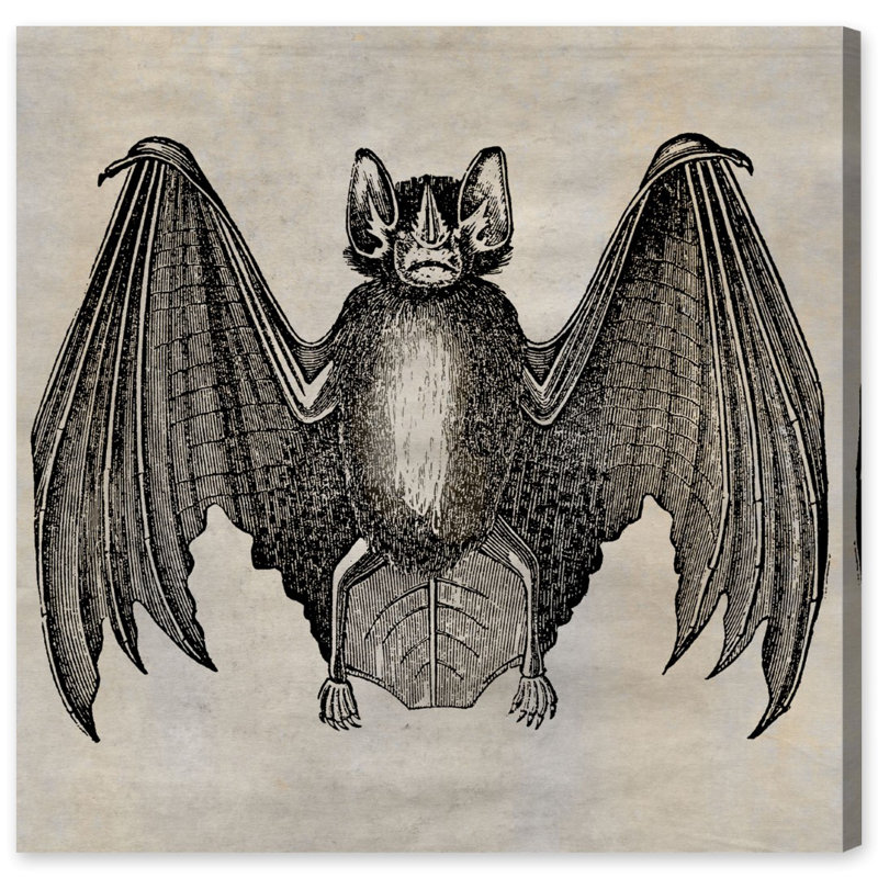 «Bat» par Oliver Gal, reproduction sur toile, H 16 po x l 16 po