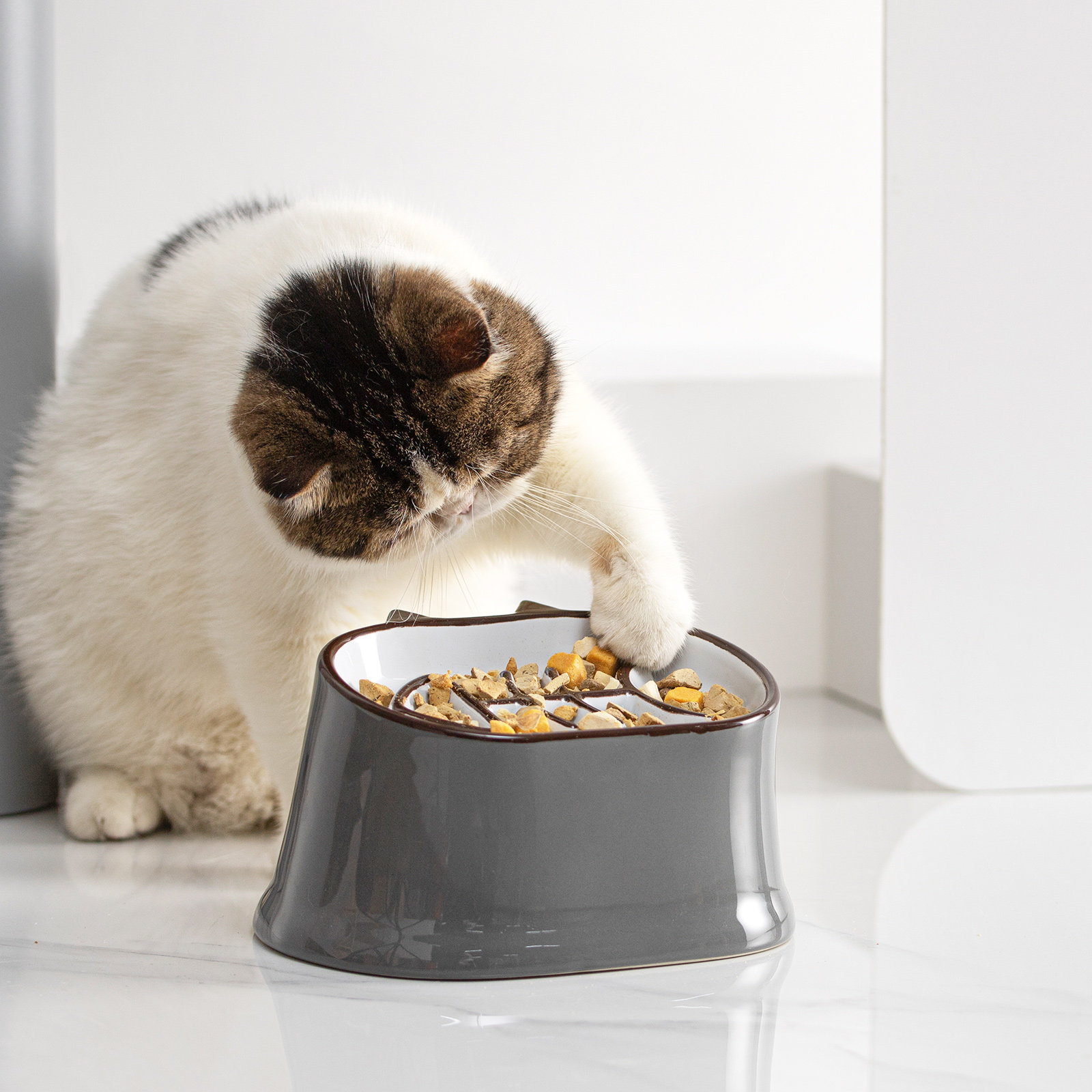 Elevated Pet Feeding Bowls For Dog & Cat, 1 Plastic Tilted Dog