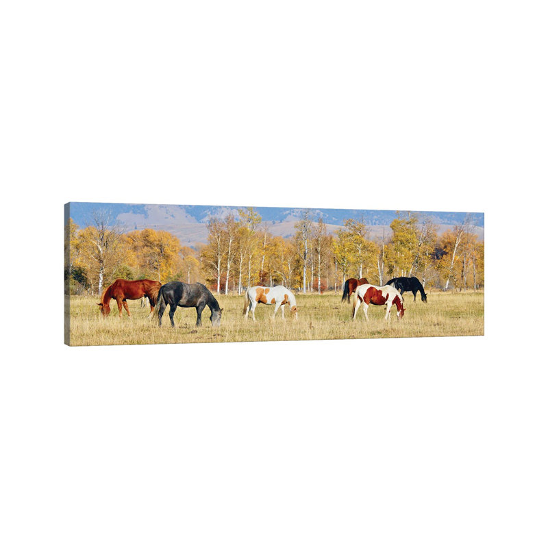 Group Of Horses II by Susan Vizvary - Wrapped Canvas Panoramic Print, 30.48 cm H x 91.44 cm W x 1.91 cm D