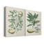Buchoz Tropicals III - Toile tendue avec châssis de qualité supérieure - Prêt à être accroché-108969676