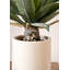 53cm Faux Plant in Cement Pot