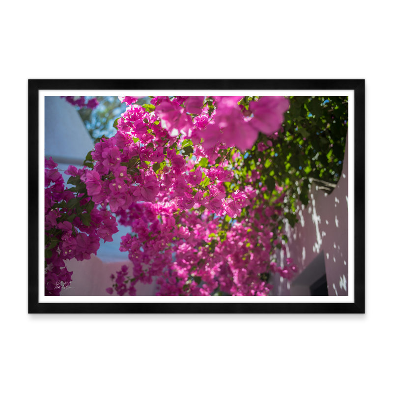 Passerelle de Bougainvillée, Noir, H 29 po x l 42 po x P 1,5 po