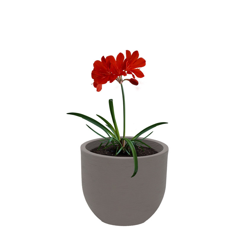Pot Planter, Grey