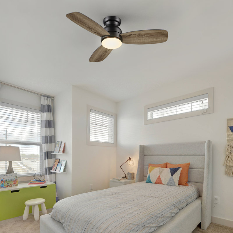Vant 44'' Ceiling Fan with LED Lights, Black