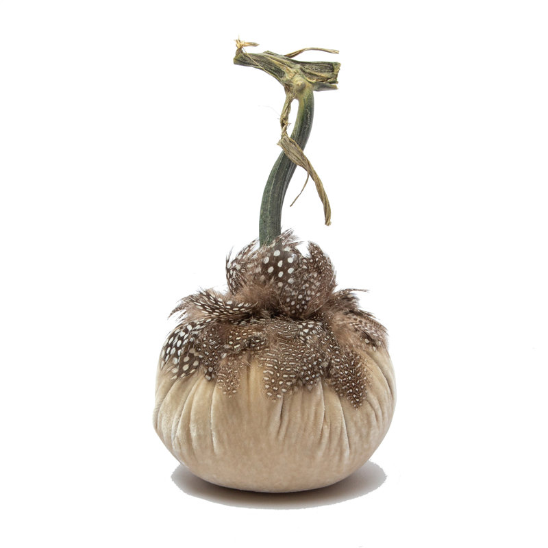 5" Silk Velvet Pumpkin w/Guinea Feather Collar