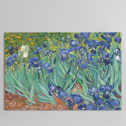 «Irises, 1889» par Vincent van Gogh, reproduction d'art sur toile tendue, H 18 po x l 26 po x p 1,5 po