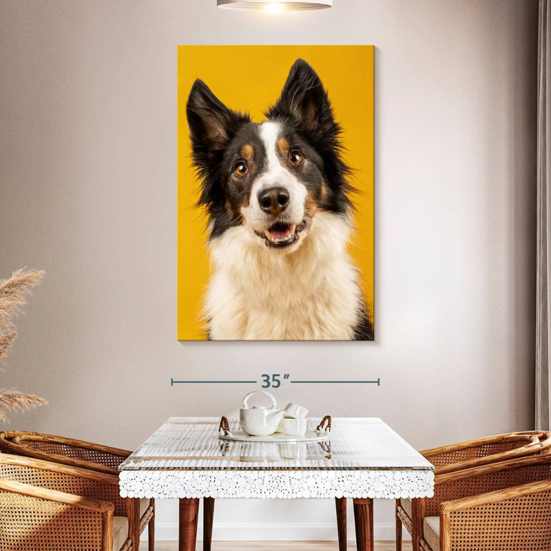 Brampt Adorable Border Collie, 51" H x 34" W