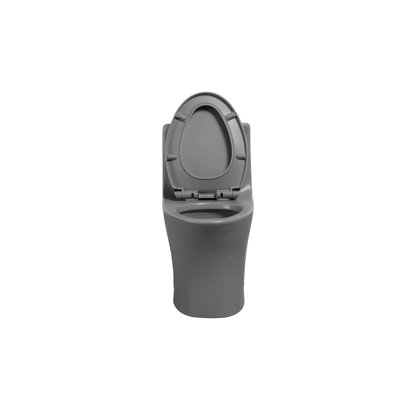 1.1/1.60 GPF Dual-Flush One Piece Toilet, Water-Saving Elongated Comfort Height Floor Mounted, Soft Closing Seat, 1000 Gram Map Flushing Score Toilet