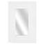 Ferentz Engineered Wood Flat Wall Mirror