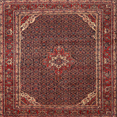 Guerrette Oriental Indoor Rug