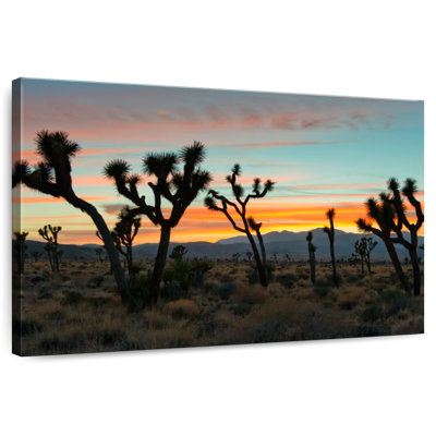Harpa Joshua Tree National Park Sunset